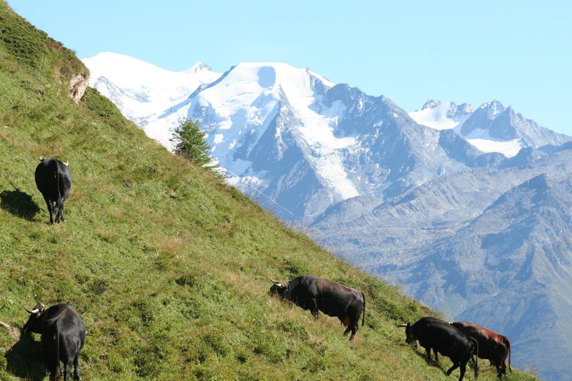 Bnb Claudy Et Elizabeth Michellod-Dutheil Le Chable Bagian luar foto